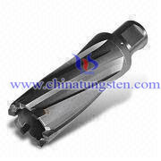 Tungsten Carbide Tip Picture